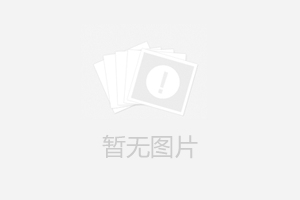 Quanzhou Shengke automatic board machine listed